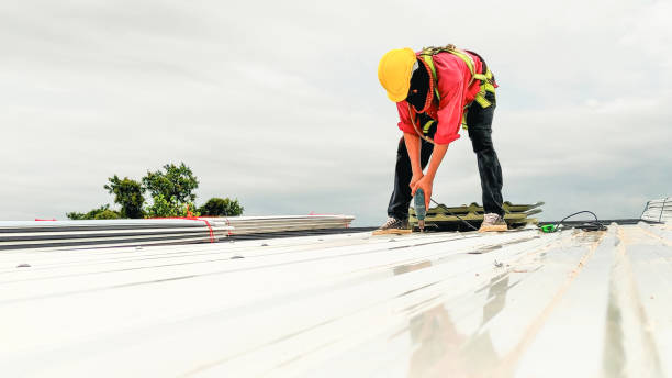 Best Asphalt Shingles Roofing  in Fort Hall, ID
